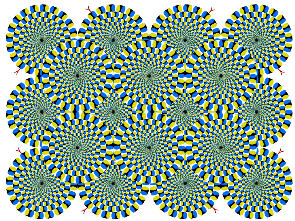 a0097097_2029839.gif