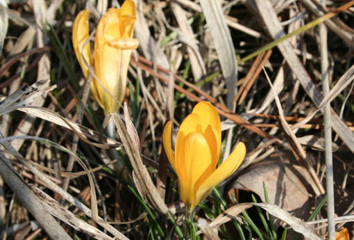 e0054299_1671296.jpg