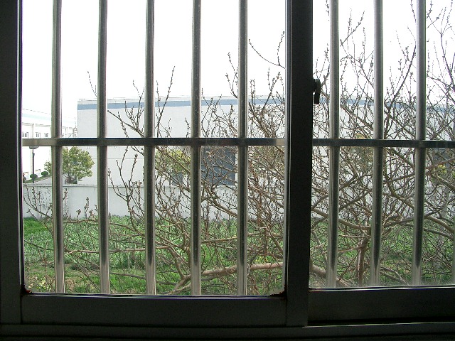 d0090300_19585931.jpg