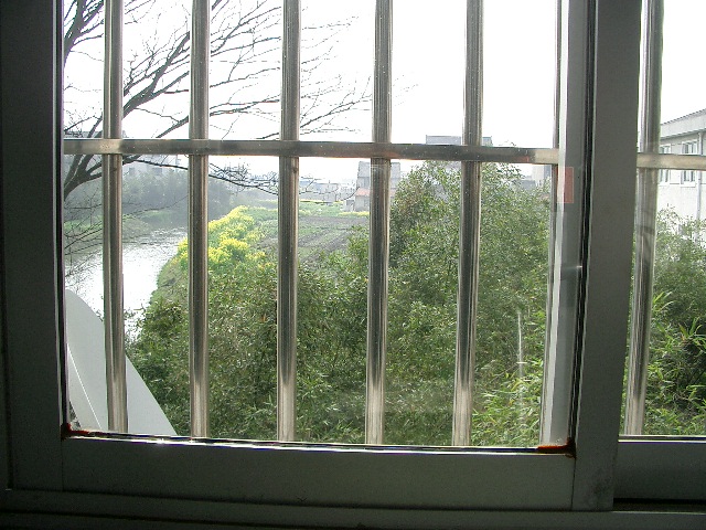 d0090300_19593841.jpg