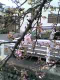 d0090001_20584489.jpg