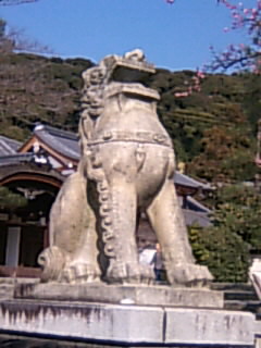 b0076307_1534366.jpg