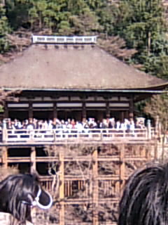 b0076307_1534386.jpg