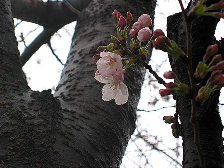 a0041508_21412894.jpg