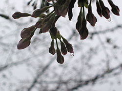 a0041508_21422765.jpg