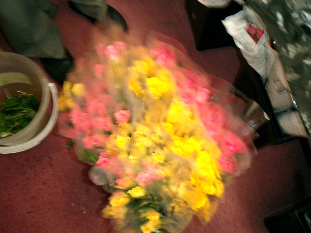 a0019212_1329941.jpg