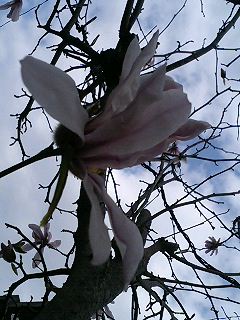 e0026017_16524715.jpg