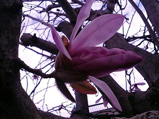 e0026017_16531012.jpg