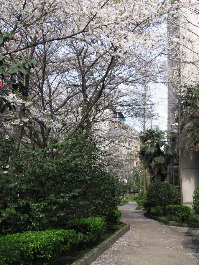 c0092520_16565558.jpg