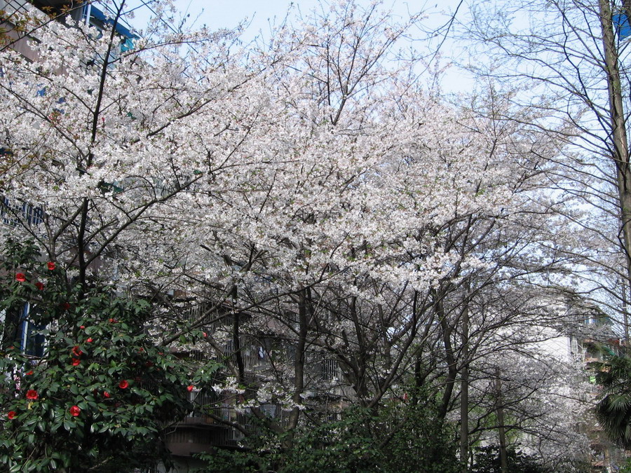 c0092520_16585983.jpg