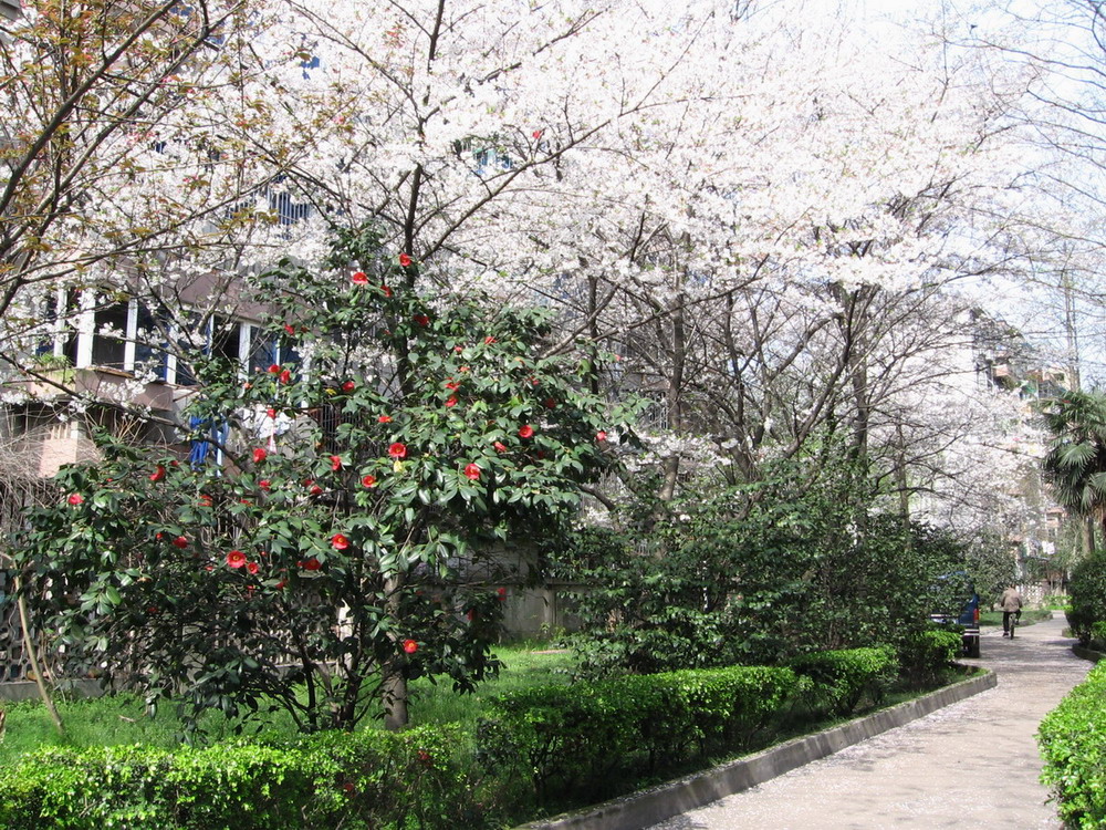 c0092520_1705346.jpg