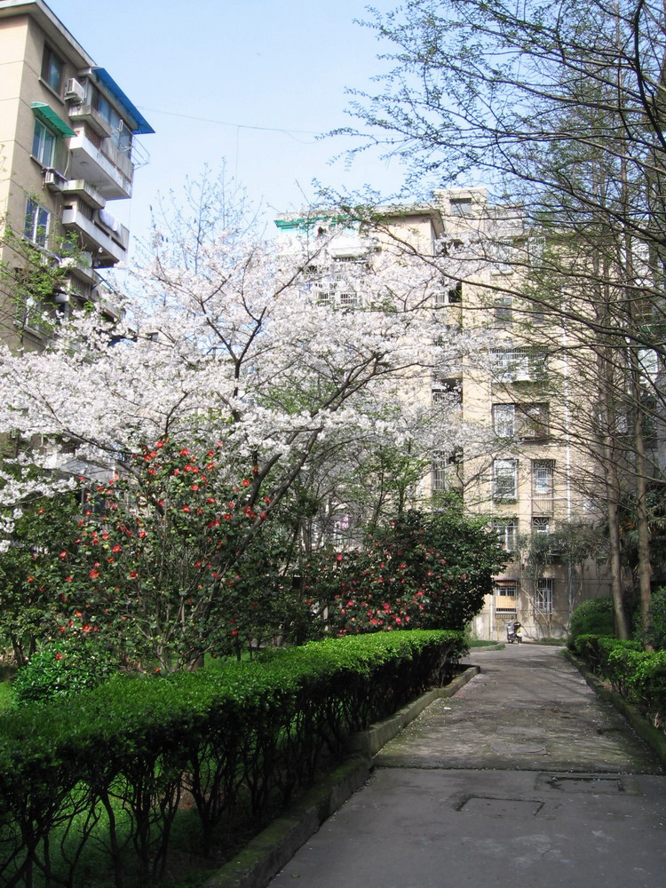 c0092520_1772759.jpg