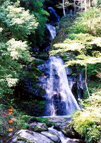 f0000521_10272060.jpg