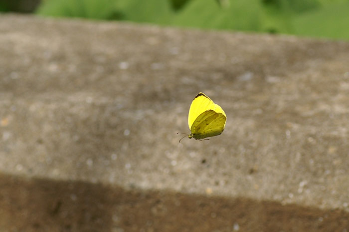 d0089024_17595320.jpg