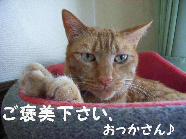 d0081025_2041951.jpg