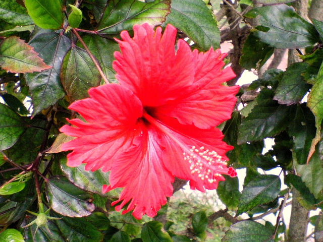 e0064133_12504546.jpg