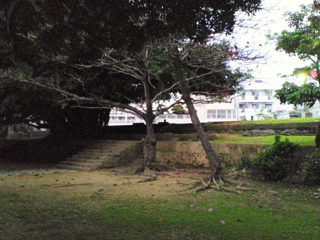e0064133_23332240.jpg