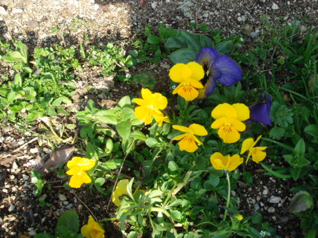 c0100534_86087.jpg