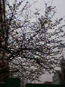 d0023742_13464958.jpg