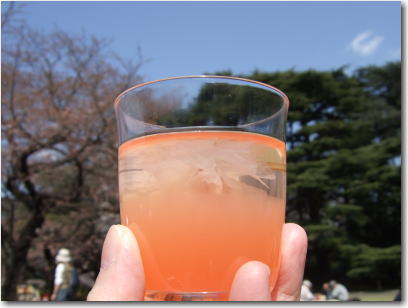 3月26日桜のゼリー