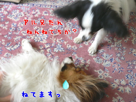 d0013149_1193139.jpg