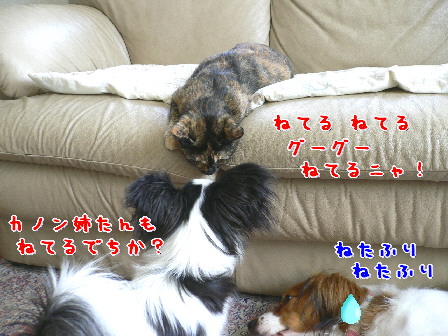 d0013149_120536.jpg