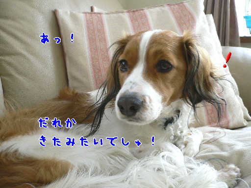 d0013149_121349.jpg