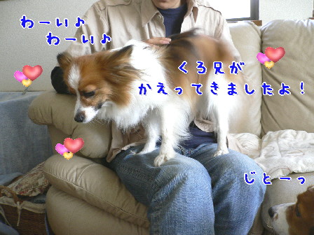 d0013149_1214985.jpg