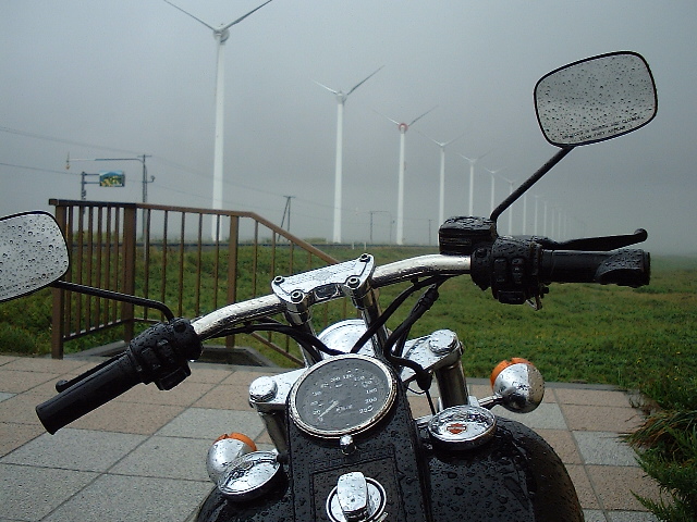 f0116350_1165913.jpg