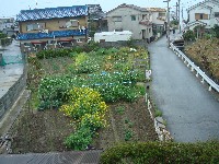 c0108460_17381655.jpg