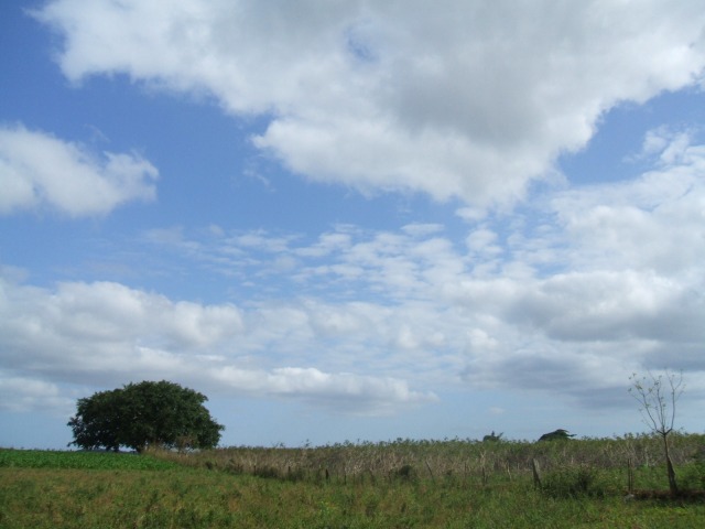 a0017161_23101166.jpg