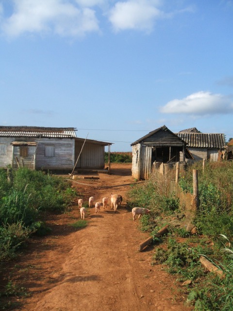 a0017161_2311330.jpg