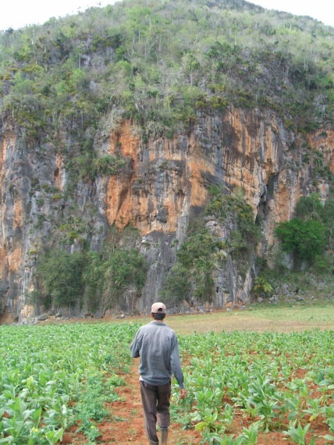 a0017161_2373729.jpg