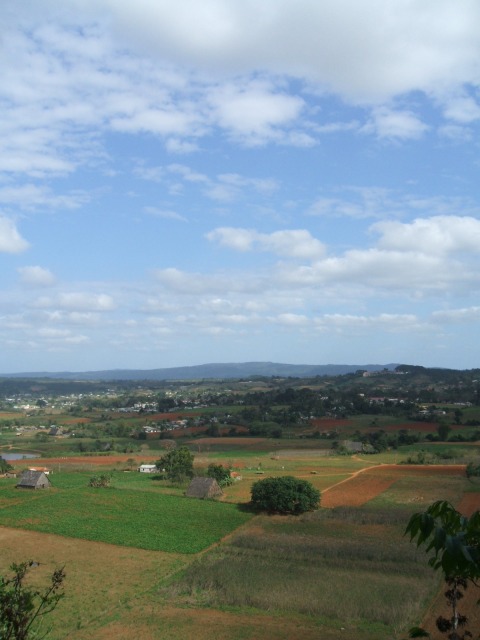 a0017161_2392366.jpg