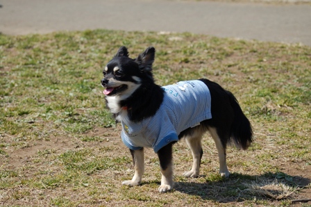 f0065768_17271886.jpg