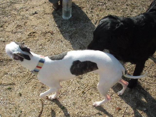 e0003270_1318283.jpg