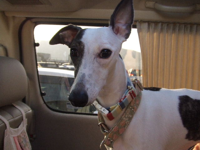e0003270_13212465.jpg