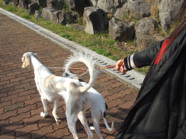 e0003270_1383822.jpg