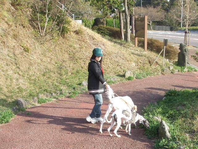 e0003270_138444.jpg