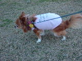 f0052071_12232198.jpg