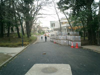 b0013376_20325335.jpg