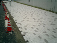 b0013376_20334547.jpg