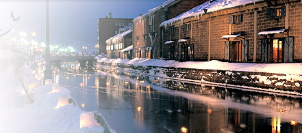 d0031078_6482698.jpg