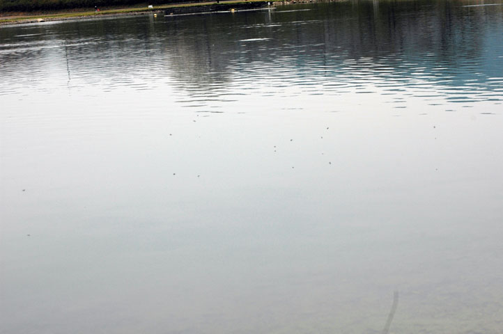 c0080180_22174674.jpg