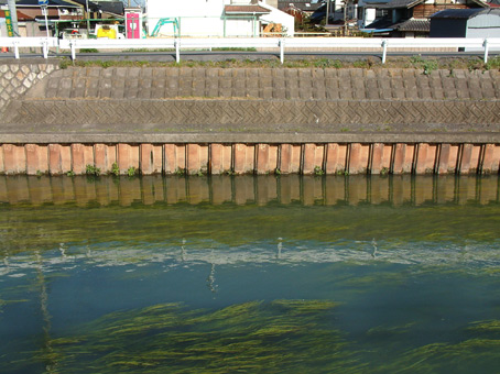 e0074782_2005325.jpg