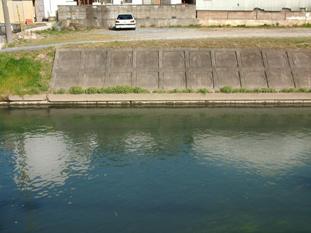 e0074782_20121097.jpg