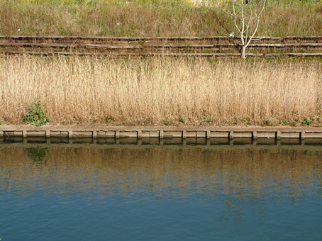 e0074782_20145742.jpg
