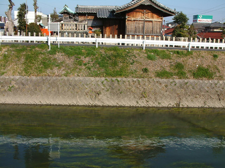 e0074782_2074158.jpg