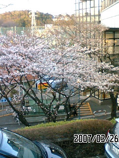 a0056686_9352663.jpg