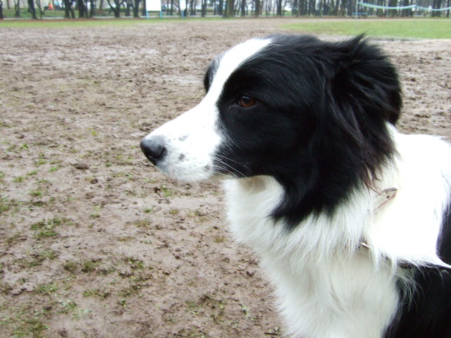 f0054290_2362078.jpg